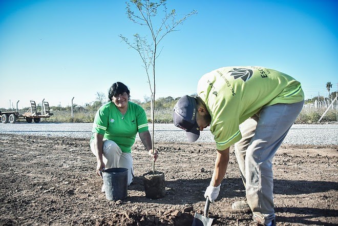 Escobar Sostenible: se plantaron 7.200 árboles nativos de los 10.000 del Plan de Arbolado Urbano “Plantando Conciencia”