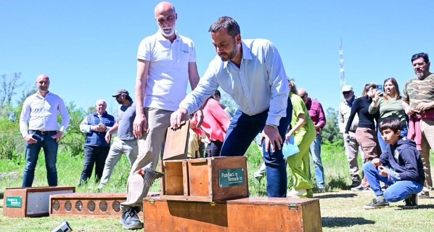 Emotiva liberación de aves silvestres nativas en la Reserva de Maschwitz