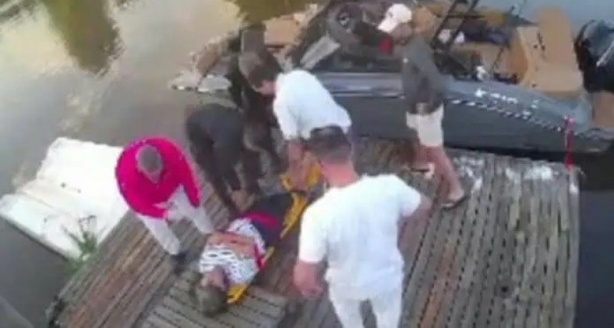 Baleada mientras paseaba en un arroyo de Escobar